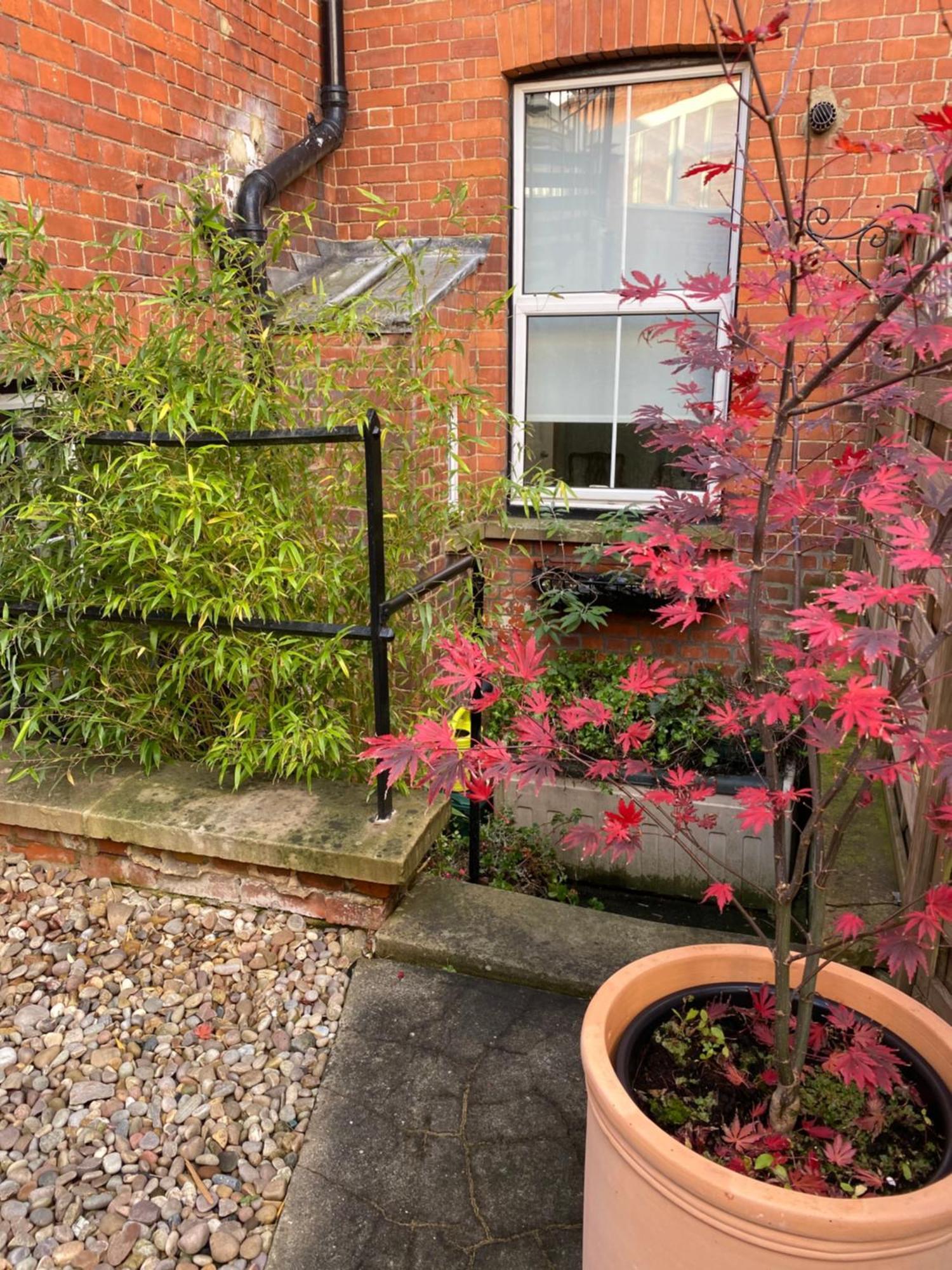 Deluxe Three Bed Bnb In Henley-On-Thames Near Station River & Town Centre מראה חיצוני תמונה